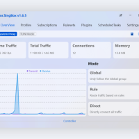 sing-box使用教程及保姆级配置方法-wklan资源馆