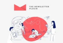 Newsletter 8.7.6 + Addons nulled 已授权破解版 – WordPress通讯插件 (The Newsletter Plugin For WordPress)-wklan资源馆