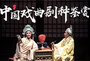 中国戏曲超全分类大合集（mp3音频+少量视频）-wklan资源馆