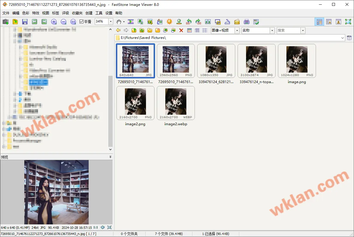 FastStone Image Viewer