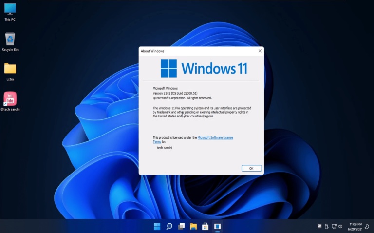 Windows 11 Pro Lite