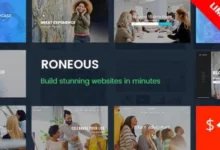 Roneous 2.1.2 nulled 已授权破解版 – 创意多用途WordPress主题 (Creative Multi-Purpose WordPress Theme)-wklan资源馆