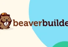 Beaver Builder Pro 2.9.0.2 nulled 已授权破解版 – CMS表单生成器插件 (WordPress Page Builder Plugin)-wklan资源馆