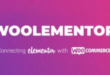 CoDesigner Pro (formerly Woolementor Pro) 4.7.6 nulled 已授权破解版 - Wordpress电子商务插件-wklan资源馆